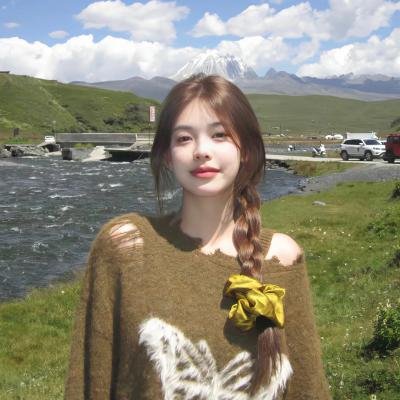 聪明的鸭子